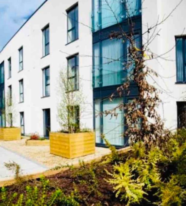 בלפסט Ormeau Road Stylish Double Bedroom Luxury Apartment מראה חיצוני תמונה